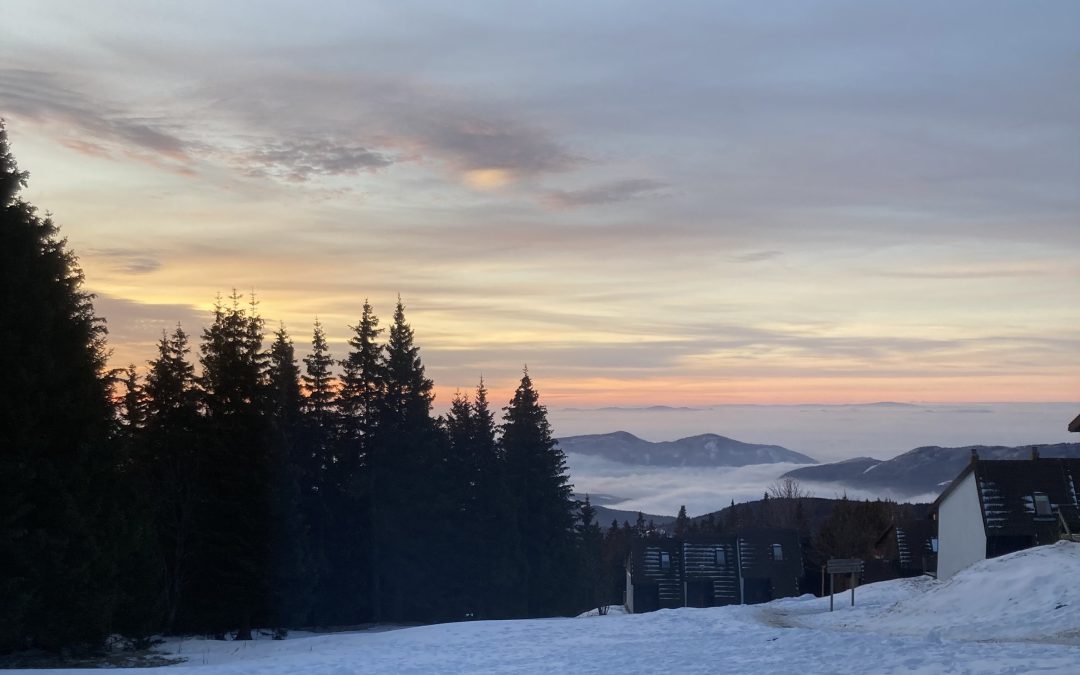 ŠOLA V NARAVI ROGLA