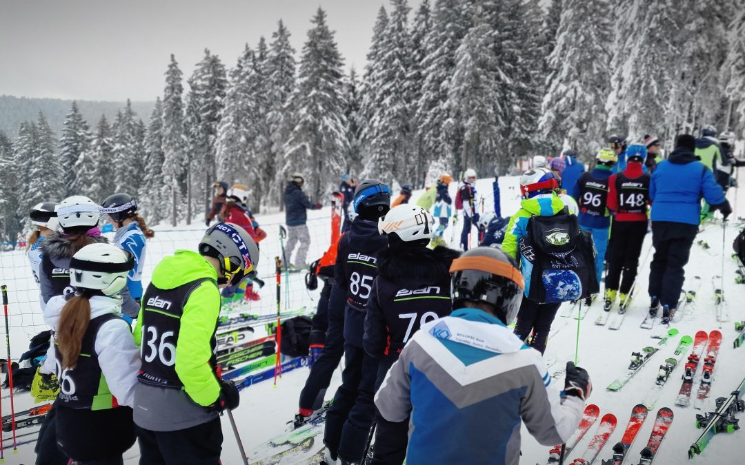 Alpsko smučanje in deskanje – državno prvenstvo za osnovne šole v veleslalomu
