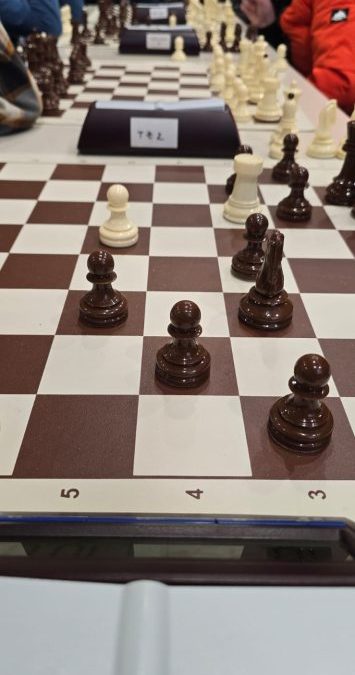 24. posamično osnovnošolsko državno prvenstvo v šahu