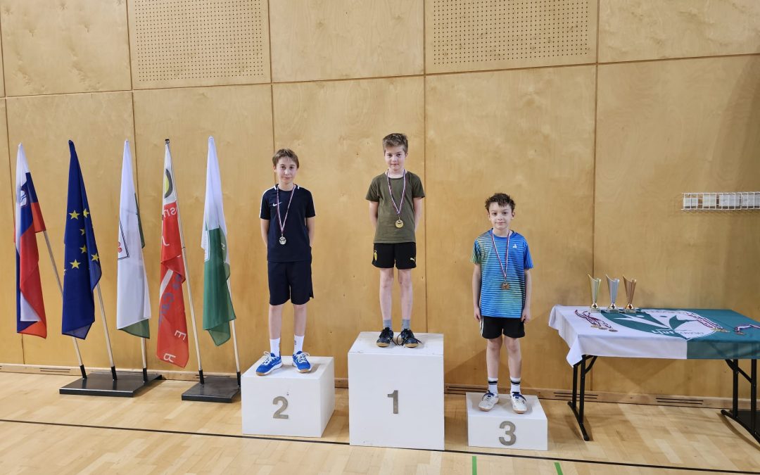 Namizni tenis Ljutomer