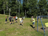 image00028