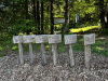 image00016