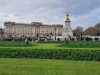 IMG-20250207-WA0016