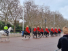 IMG-20250207-WA0020
