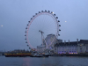IMG-20250207-WA0088