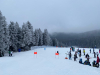 IMG-20250207-WA0037